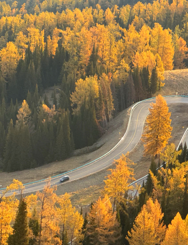 G681阿禾公路。自治区交通运输厅供图