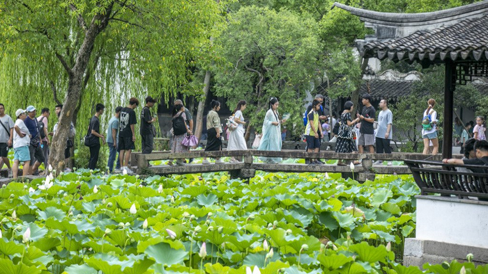 游客在苏州园林游玩、赏荷、避暑。视觉中国 资料图