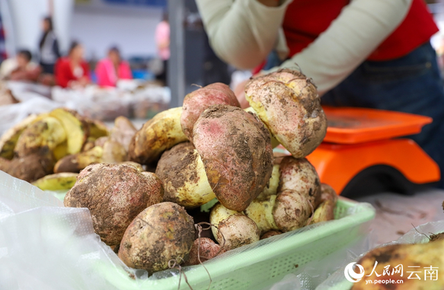 南华县野生菌交易市场售卖的野生菌。人民网记者 虎遵会摄