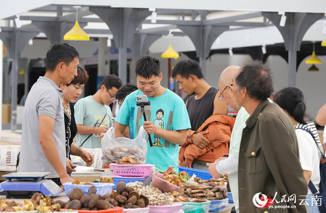 在南华县野生菌交易市场，商户通过直播售卖野生菌。人民网记者 虎遵会摄