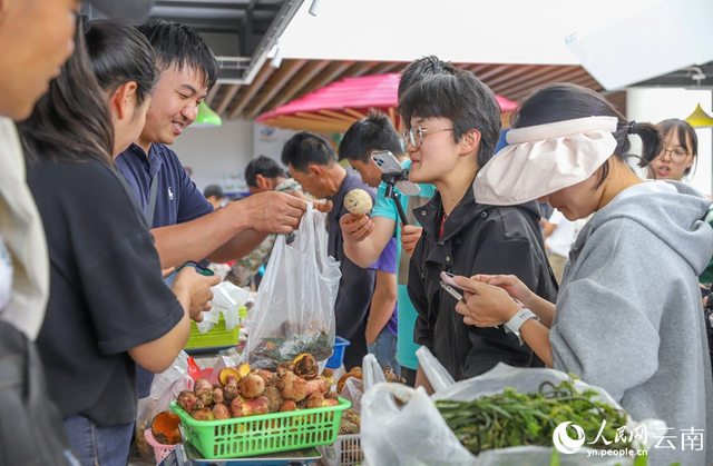南华县野生菌交易市场，商户正向购买者介绍野生菌。人民网记者 虎遵会摄