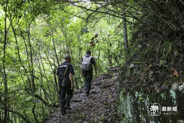 护林员带着红外相机设备穿山越岭。 记者 祝旖波 钱洁瑗 摄