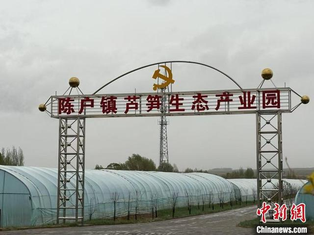 图为陈户镇芦笋生态产业园。 戴文昌 摄