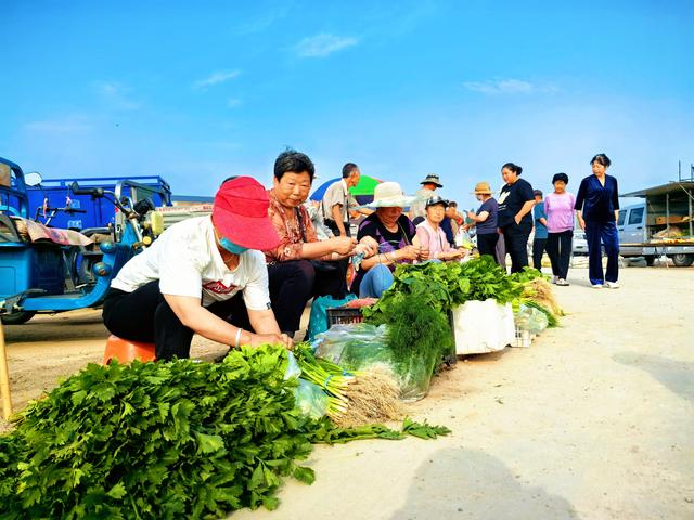 农户在售卖自家小院的新鲜蔬菜。杨海琴 摄