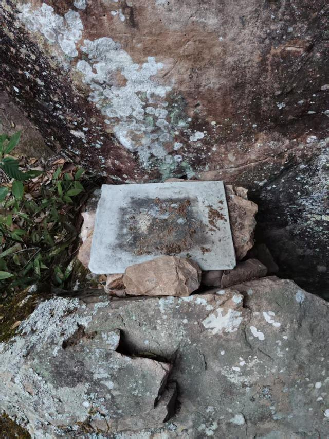 被黑熊破坏的蜂桶。刘芝坤供图
