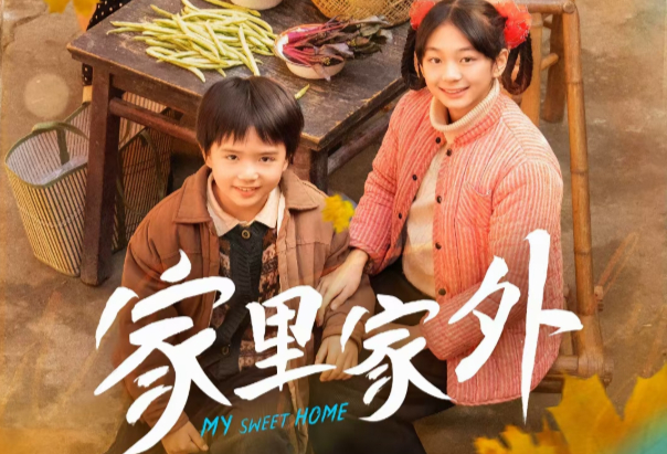 《家里家外》海报截图