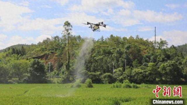 正在喷洒药水的植保无人机。 安远县融媒体中心供图