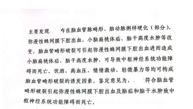 鉴定报告。图/受访者提供