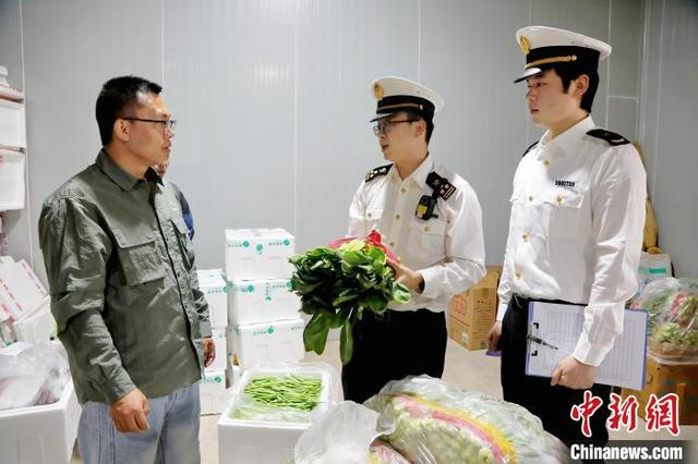 图为海关工作人员对出口冷凉蔬菜开展现场查验。银川海关供图