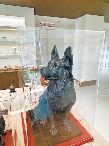 一款油塑宠物模型标价8800元