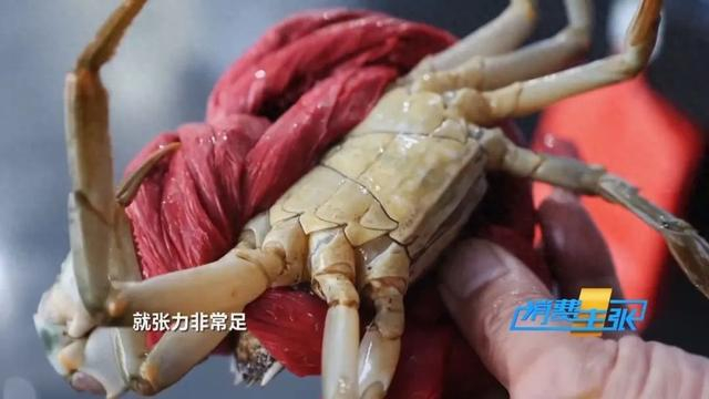 图源：央视财经 