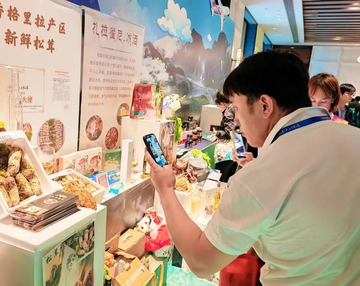 7月4日，一名采购商在第三届香格里拉松茸论坛上拍摄松茸。新华社记者浦超 摄