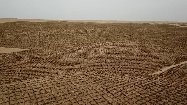 “三北”六期蒙甘边境防沙治沙沙漠锁边项目治理后的现状。（资料图）