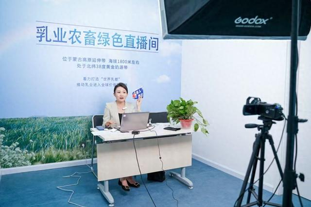 呼和浩特人力资源服务产业园区开展线上直播带岗。赵宇昕 摄（资料图）