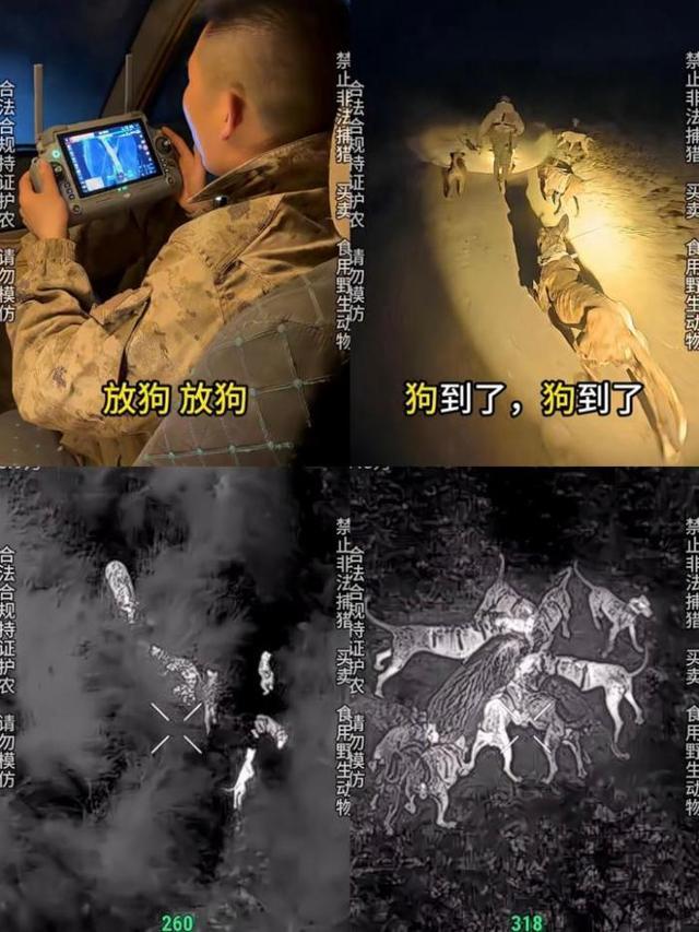 来源:直播平台截图