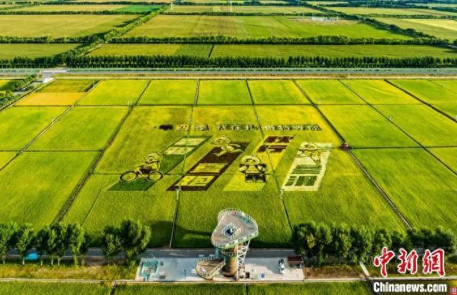 图为稻谷景区里的3D立体巨幅稻田画。 王树恩 摄