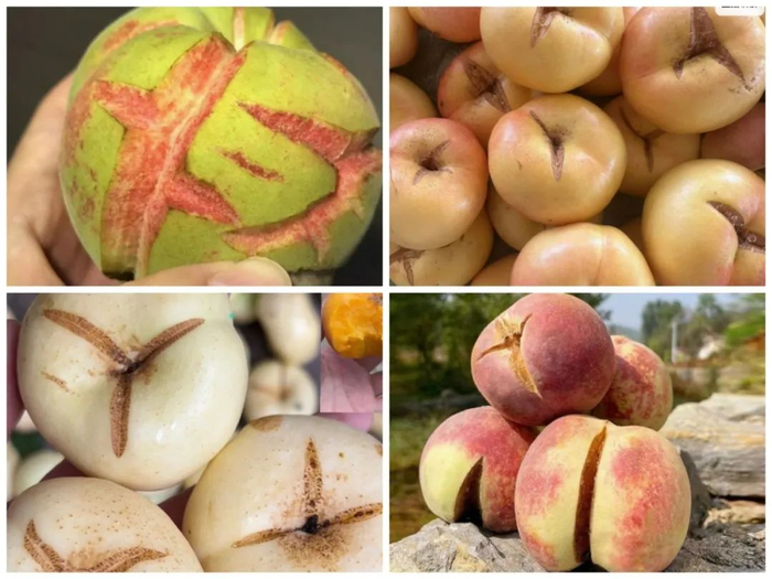 ▲电商平台销售的不同品种“爆炸桃”。 电商平台截图