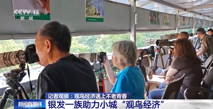 （图源：央视新闻）