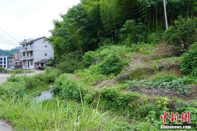 吴村镇前村村,美国14号机组机械师艾尔曼的降落地点附近 。吴思瑜 摄