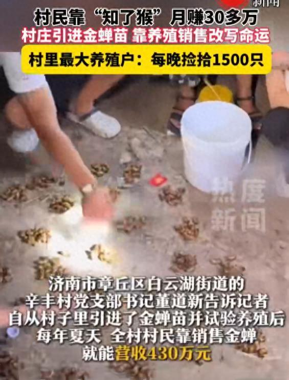 来源：闪电新闻