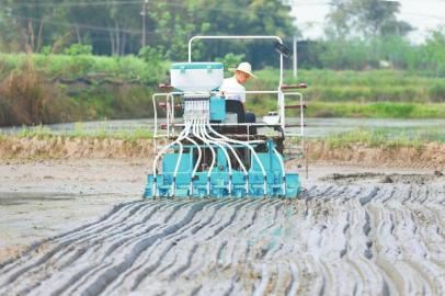 　　遂宁市安居区三家镇芦城村，种粮大户利用机械化设备开展水稻播种作业。 张勤宝 摄（C视觉）
