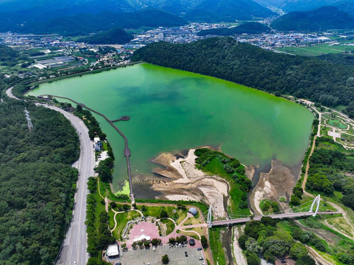 当地时间2025年7月8日，韩国庆北漆谷郡，受持续高温影响，东明水库水温升高，水面被绿藻覆盖。