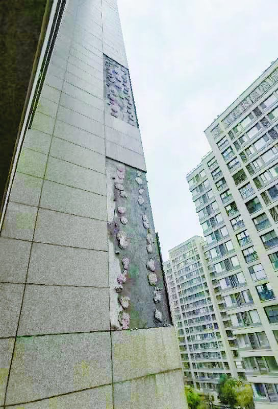 楼栋墙皮脱落后变斑秃  受访者供图