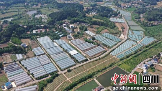 蔬菜大棚基地。衡欢 摄