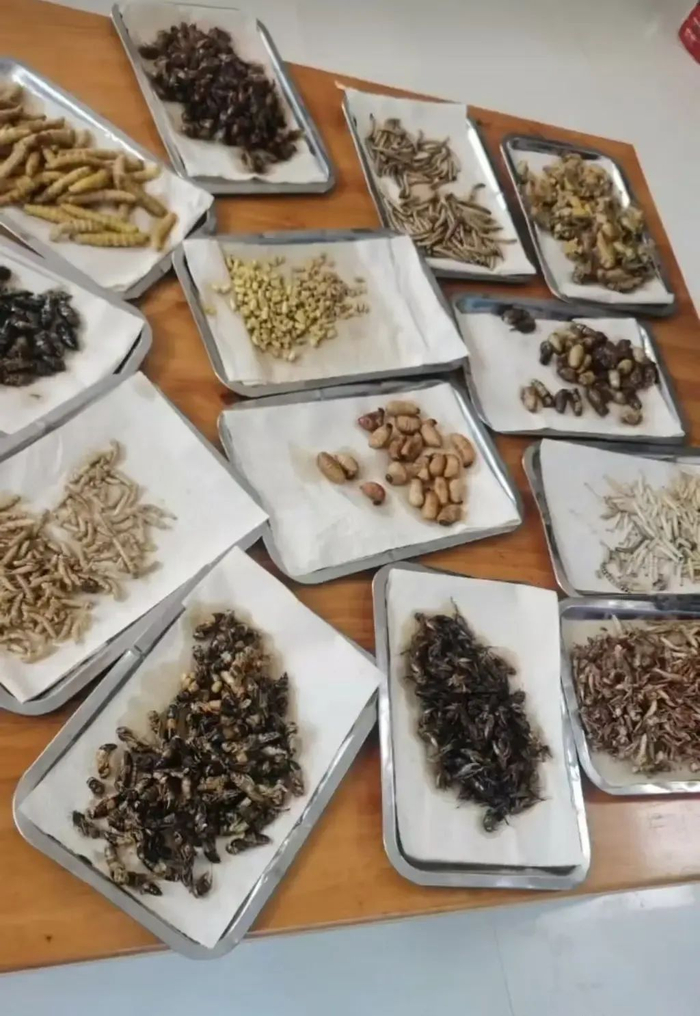 视频中出现的菜品和食材图片（当事人供图）