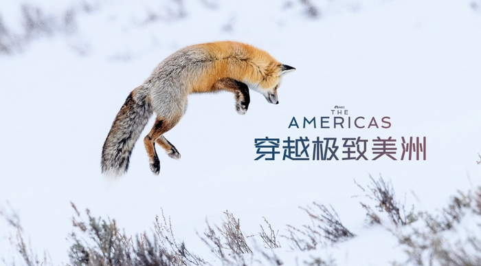 《穿越极致美洲》剧照