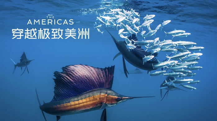 《穿越极致美洲》剧照