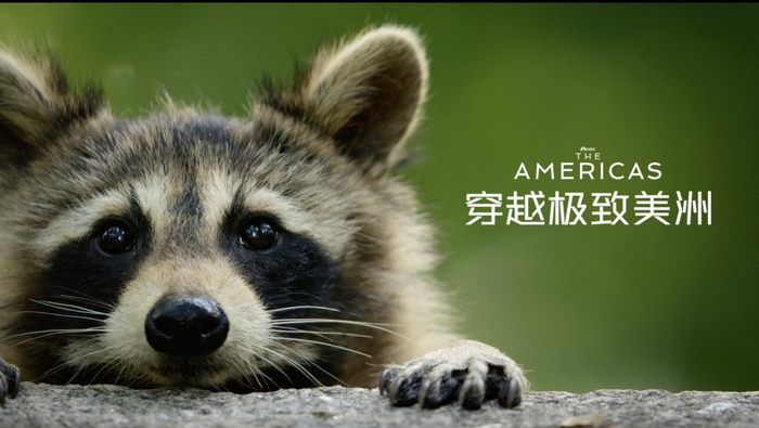 《穿越极致美洲》剧照