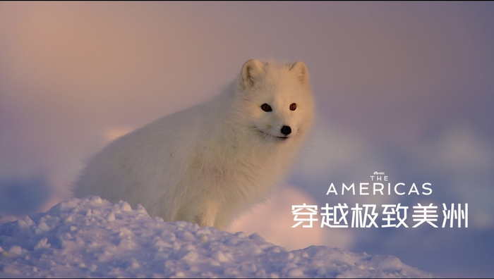 《穿越极致美洲》剧照