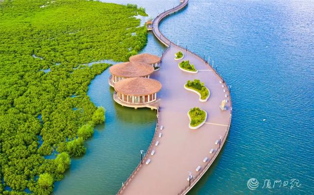 下潭尾红树林公园。（图源：厦门日报图片中心）