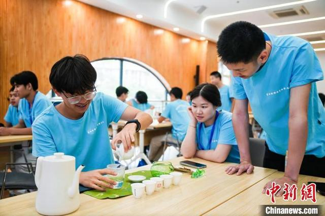 2025年7月，浙江青田，华侨华人新生代体验茶文化。 舒旭影 供图