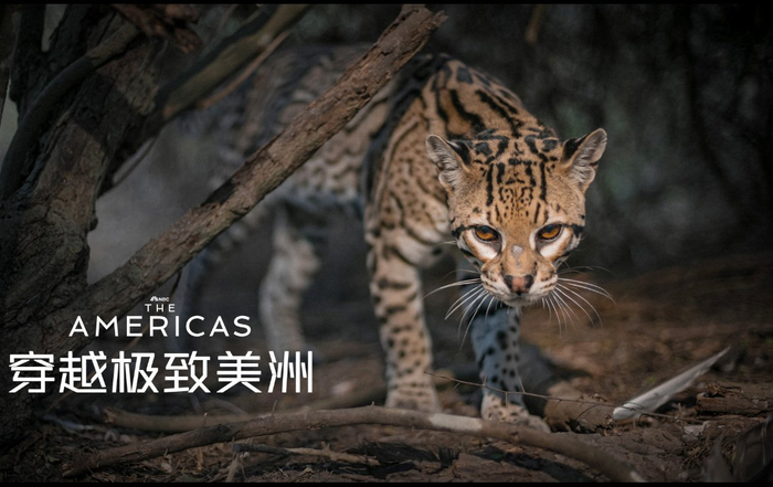 《穿越极致美洲》剧照