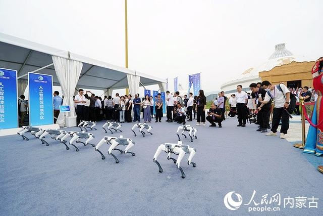 人工智能体验展示区。人民网记者 齐浩男摄