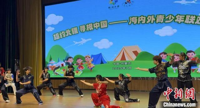 图为7月13日,2025“亲情中华·中国寻根之旅”夏令营内蒙古营开营仪式上的武术表演。 胡然 摄