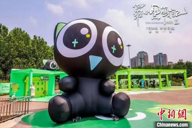 活动现场。主办方供图