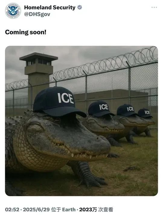 美国国土安全部6月29日在社交媒体上发布的相关帖文截图。