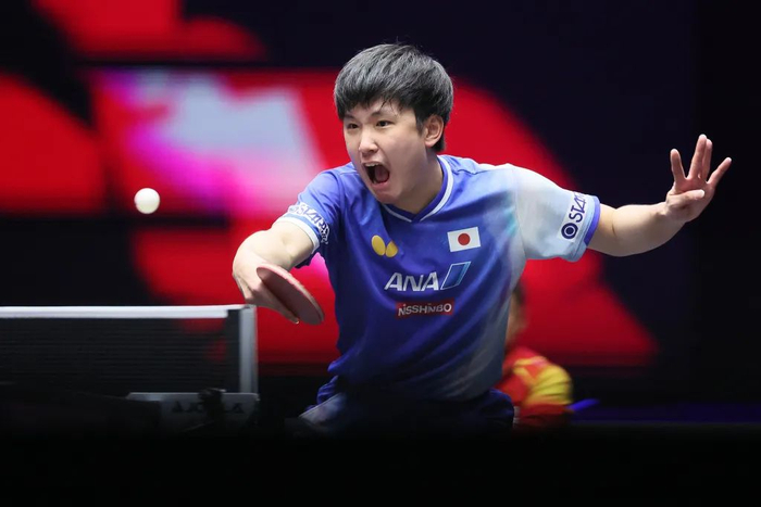 张本智