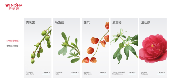 图源：薇诺娜官网