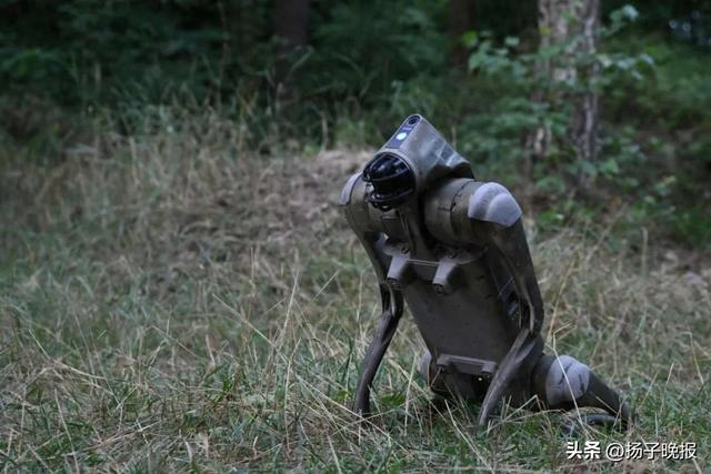 一只带有军事功能的机器狗（法新社资料图片）