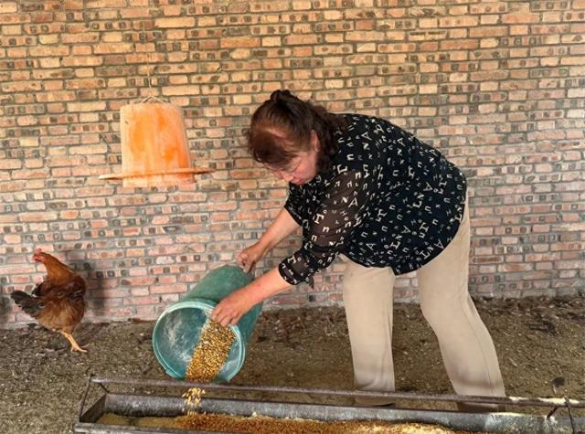 曹翠英喂鸡（资料图）。