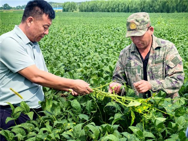 刘利有（左）带领五家子村形成了“一村多品”特色产业发展格局。（资料图）