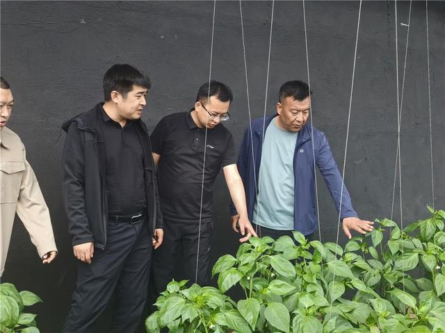 刘利有（右一）带领村民探索多元特色产业。（资料图）