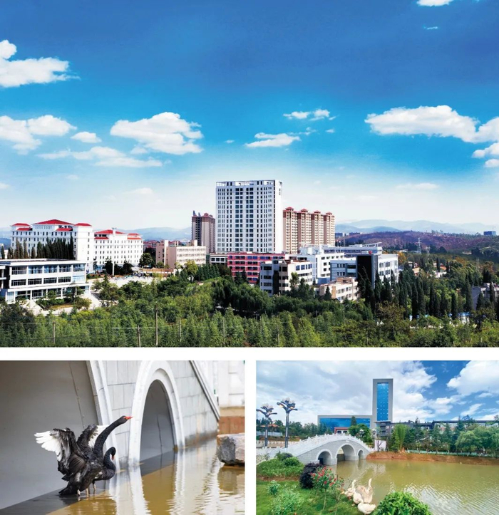 图源：“云南交通运输职业学院”微信公众号