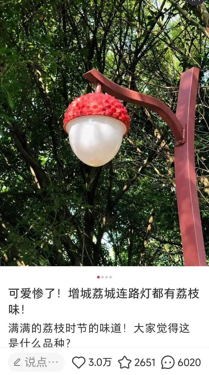 有网友晒出增城荔枝路灯的图片 图源网络