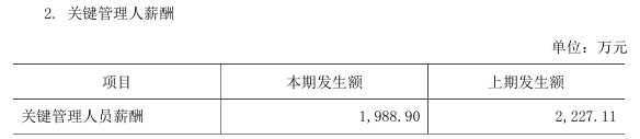 来源：2024年年报