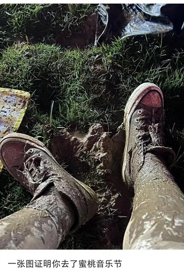 蜜桃音乐节观众发帖。图/社交平台截图 
